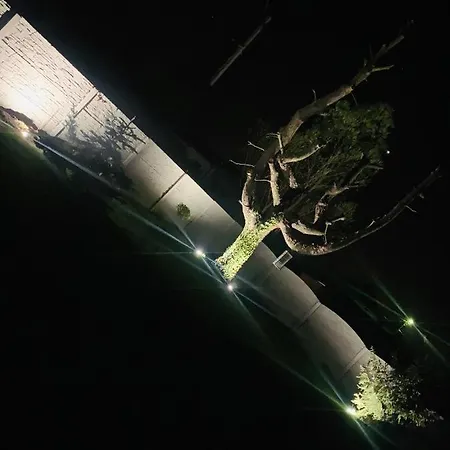 Ogród * Spytkowice (Wadowice)